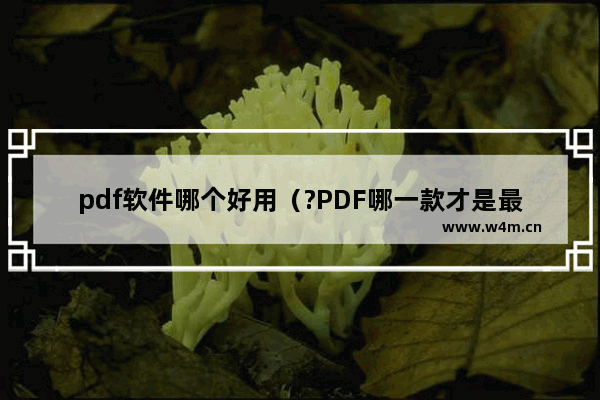 pdf软件哪个好用（?PDF哪一款才是最好用的）