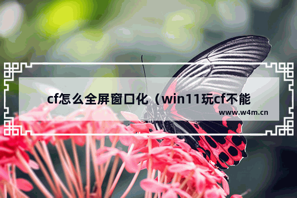 cf怎么全屏窗口化（win11玩cf不能全屏的解决方法）