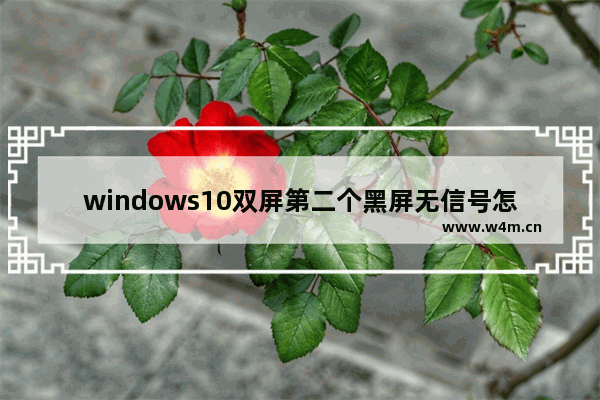 windows10双屏第二个黑屏无信号怎么办 windows10双屏第二个黑屏无信号解决办法