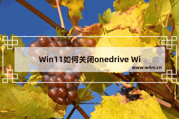 Win11如何关闭onedrive Win11关闭onedrive的方法