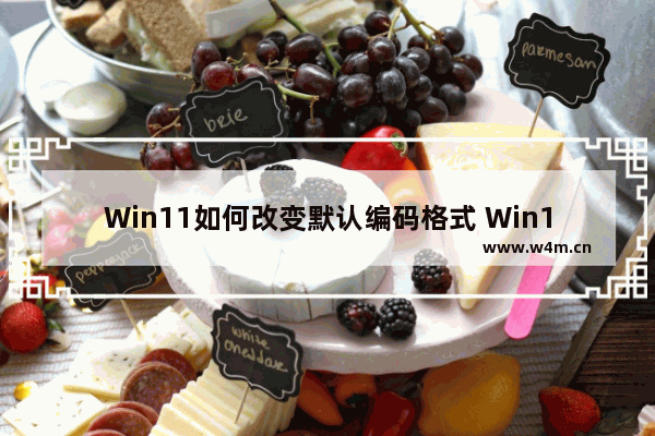 Win11如何改变默认编码格式 Win11改变默认编码格式的方法