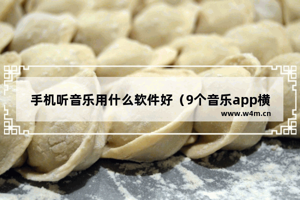 手机听音乐用什么软件好（9个音乐app横评）