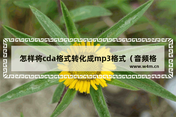 怎样将cda格式转化成mp3格式（音频格式转换mp3操作方）