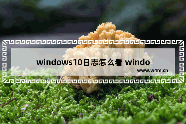 windows10日志怎么看 windows10日志查看方法