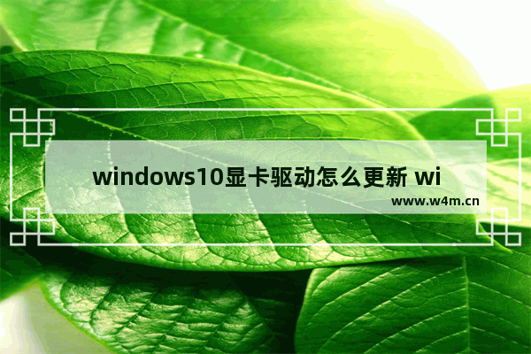 windows10显卡驱动怎么更新 windows10显卡驱动更新教学