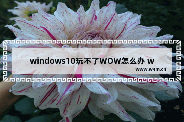 windows10玩不了WOW怎么办 windows10玩不了WOW的解决方法