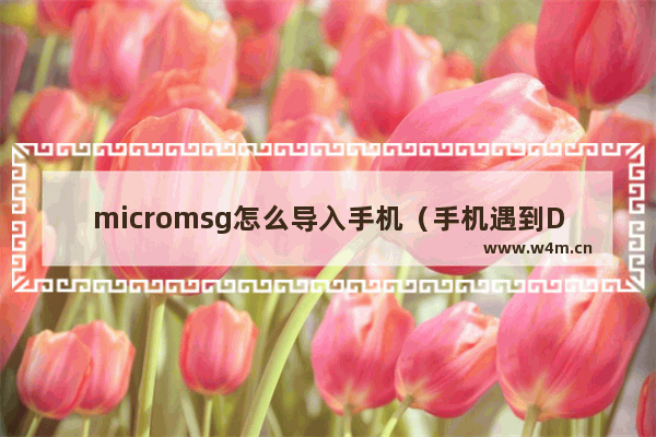 micromsg怎么导入手机（手机遇到Dwg文件打不开怎么办）