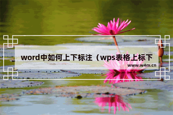 word中如何上下标注（wps表格上标下标怎么弄）