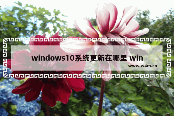 windows10系统更新在哪里 windows10系统更新位置详细介绍