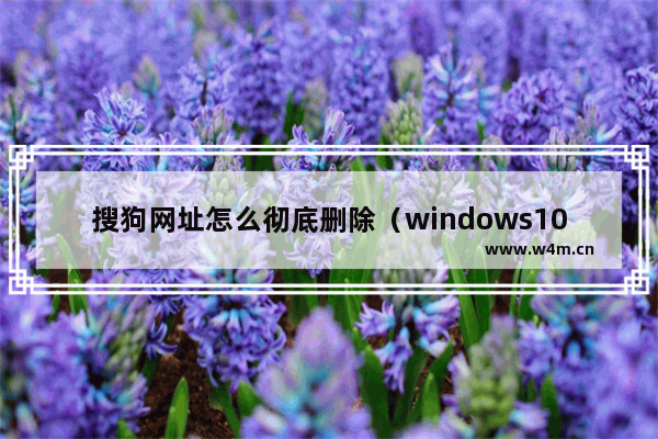 搜狗网址怎么彻底删除（windows10系统怎样删除搜狗浏览器历史记录）