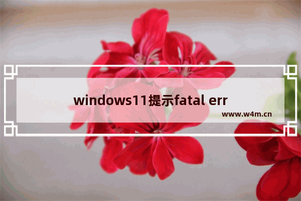 windows11提示fatal error怎么解决 windows11游戏提示fatal error的解决方法