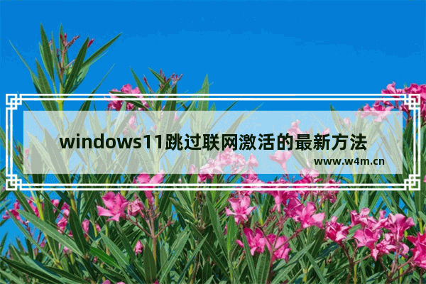 windows11跳过联网激活的最新方法是什么 最新windows11跳过联网激活的方法