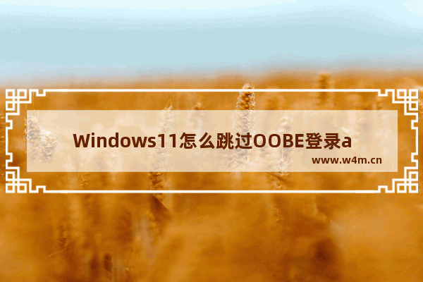 Windows11怎么跳过OOBE登录admin Windows11跳过OOBE登录admin的方法