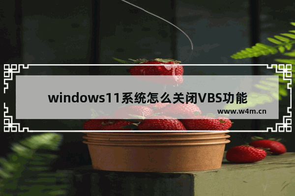 windows11系统怎么关闭VBS功能 windows11系统关闭VBS功能的操作方法教学