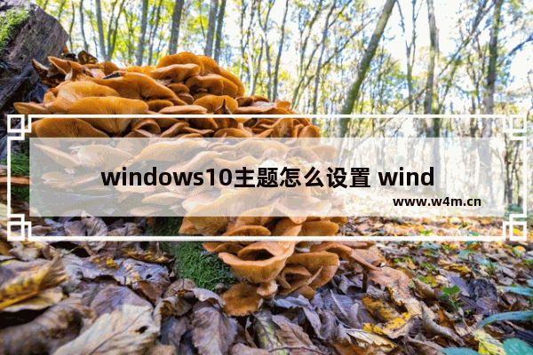 windows10主题怎么设置 windows10主题设置方法