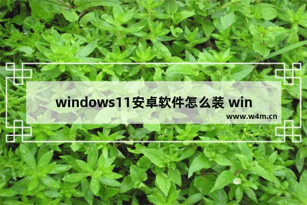 windows11安卓软件怎么装 windows11运行安卓软件的方法分享