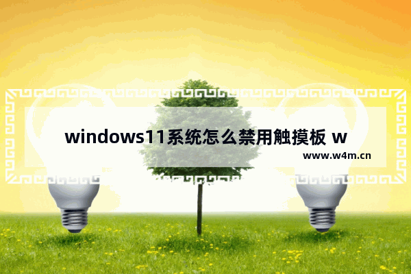 windows11系统怎么禁用触摸板 windows11系统禁用触摸板的设置方法