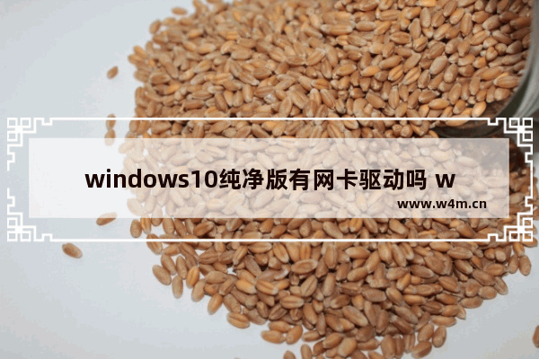 windows10纯净版有网卡驱动吗 windows10纯净版有网卡驱动吗问题解析