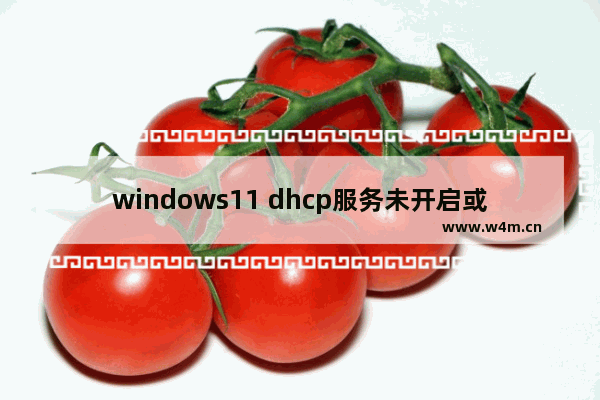 windows11 dhcp服务未开启或异常无法启动怎么办 windows11 dhcp服务未开启或异常无法启动的解决方法