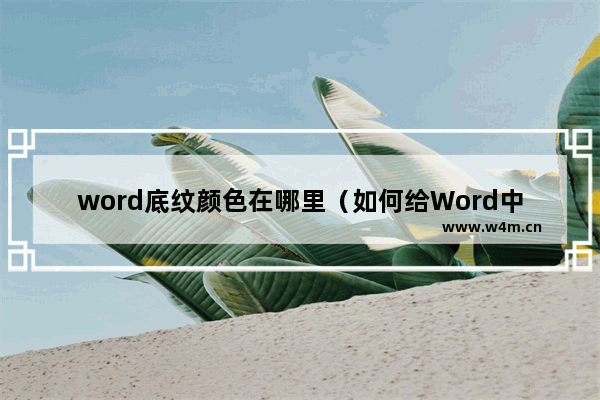 word底纹颜色在哪里（如何给Word中的表格设置底纹）