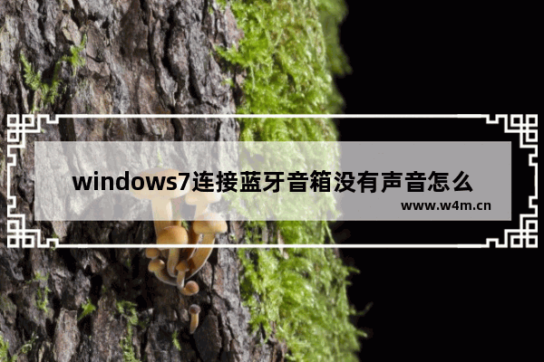 windows7连接蓝牙音箱没有声音怎么办 windows7连接蓝牙音箱没有声音怎么回事