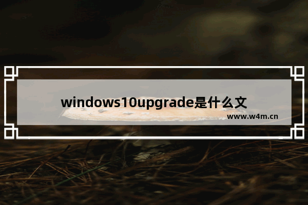 windows10upgrade是什么文件夹 windows10upgrade文件能不能删除