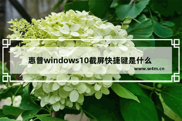 惠普windows10截屏快捷键是什么 惠普windows10截屏快捷键使用教程