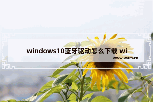 windows10蓝牙驱动怎么下载 windows10蓝牙驱动下载安装教学