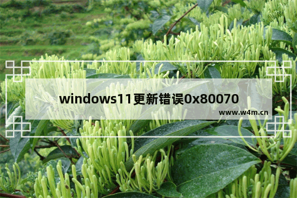 windows11更新错误0x80070422怎么办 windows11更新错误0x80070422解决方法