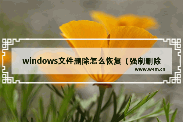 windows文件删除怎么恢复（强制删除的电脑文件如何恢复）