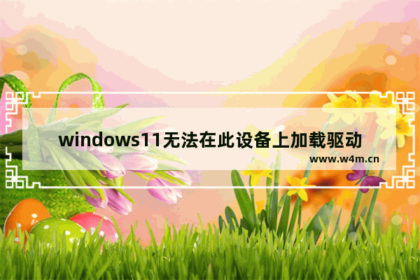 windows11无法在此设备上加载驱动程序怎么办 windows11无法在此设备上加载驱动程序的解决方法