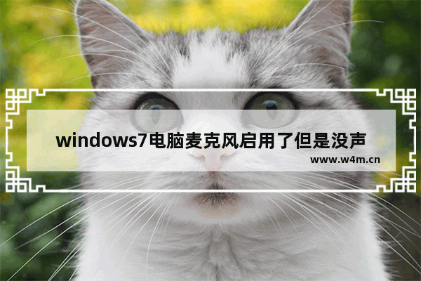 windows7电脑麦克风启用了但是没声音怎么办 windows7电脑麦克风启用了但是没声音解决方法