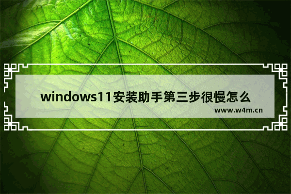 windows11安装助手第三步很慢怎么办 windows11安装助手第三步很慢解决方法