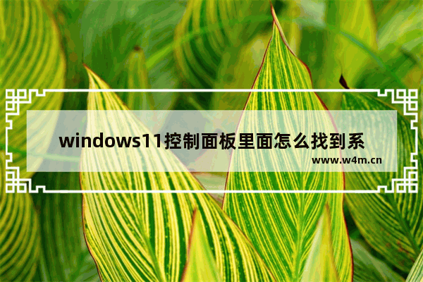 windows11控制面板里面怎么找到系统安全 windows11控制面板里面找到系统安全方法