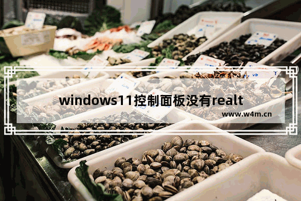 windows11控制面板没有realtek怎么办 windows11控制面板没有realtek解决方法