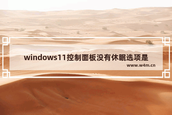 windows11控制面板没有休眠选项是怎么回事 windows11控制面板没有休眠选项问题解析