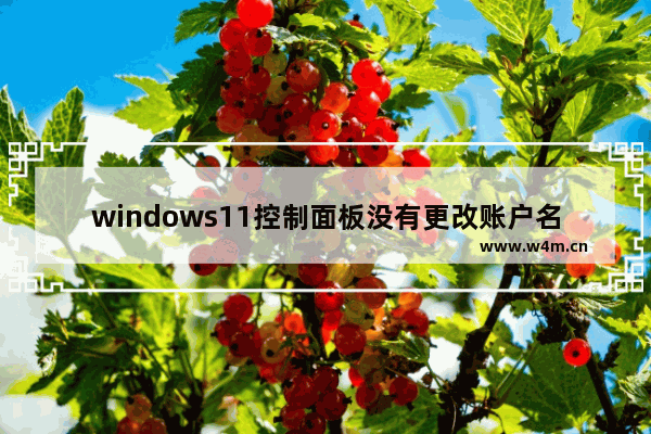 windows11控制面板没有更改账户名称怎么办 windows11控制面板没有更改账户名称解决方法