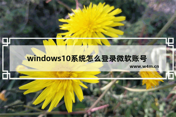 windows10系统怎么登录微软账号 windows10微软账号登录不上解决方法