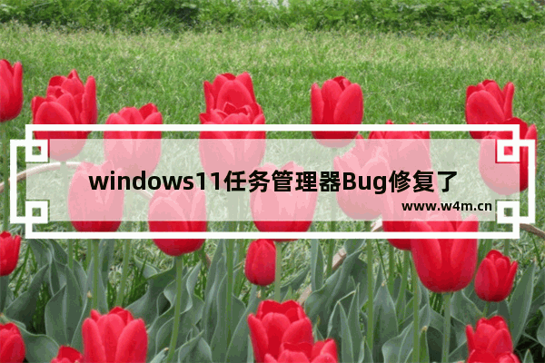 windows11任务管理器Bug修复了吗 windows11任务管理器Bug修复问题解析