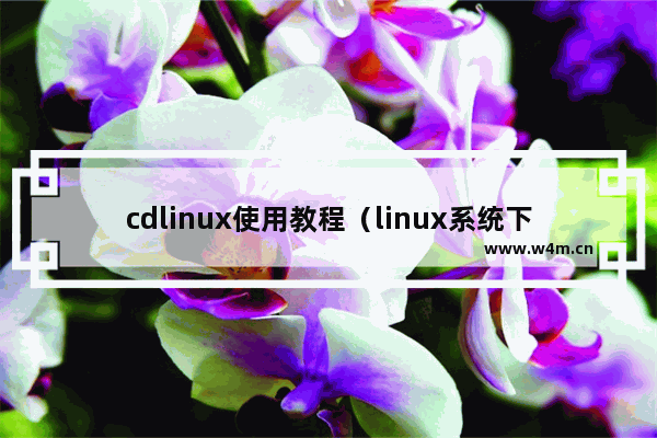 cdlinux使用教程（linux系统下cd命令怎么用）