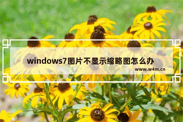 windows7图片不显示缩略图怎么办 windows7图片不显示缩略图解决方法