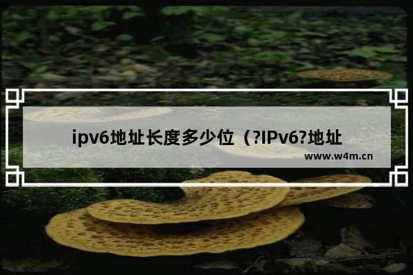 ipv6地址长度多少位（?IPv6?地址简单介绍）