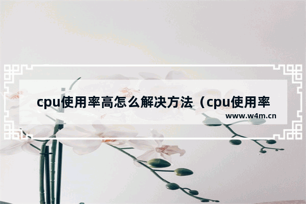 cpu使用率高怎么解决方法（cpu使用率太高怎么办）