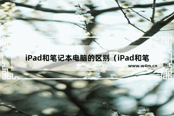 iPad和笔记本电脑的区别（iPad和笔记本之间该怎么选）