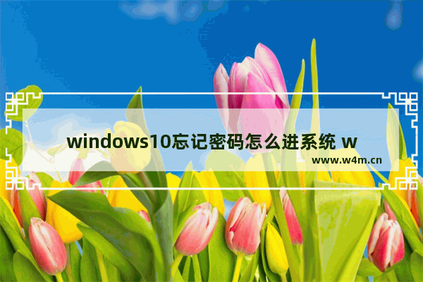 windows10忘记密码怎么进系统 windows10忘记密码进系统教程