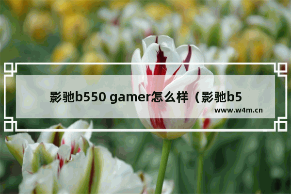 影驰b550 gamer怎么样（影驰b550主板测评）