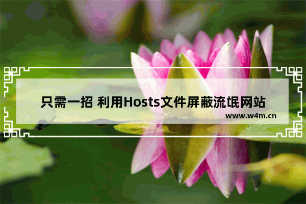 只需一招 利用Hosts文件屏蔽流氓网站