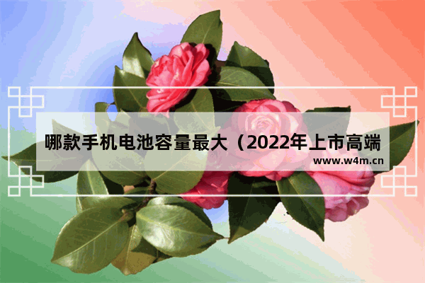 哪款手机电池容量最大（2022年上市高端手机电池容量大排行）