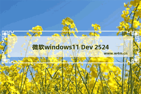 微软windows11 Dev 25247版本更新了什么 微软windows11 Dev 25247版本新功能解析