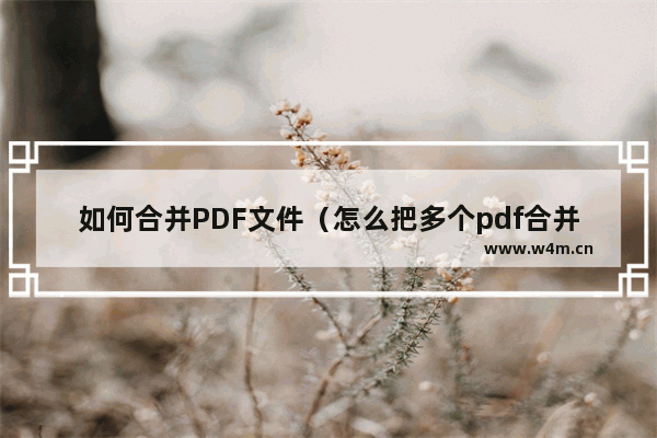 如何合并PDF文件（怎么把多个pdf合并在一起）